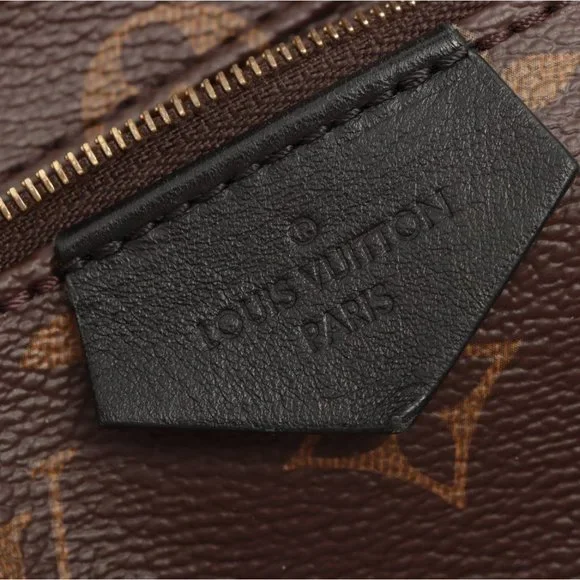 Louis Vuitton Palm Springs MM Monogram Backpack - Picture 13 of 16